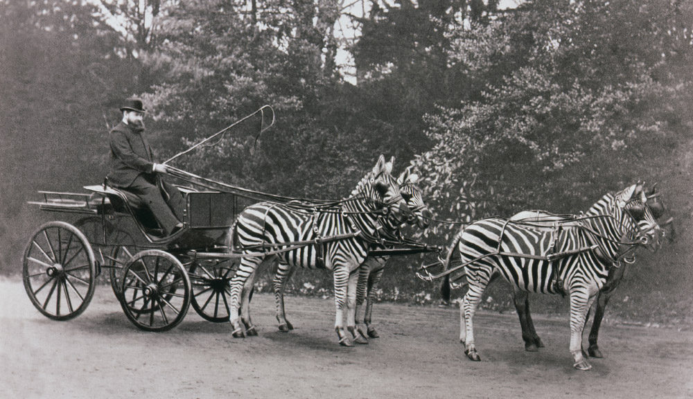 The Rothschilds Instinct Productions